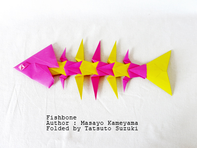 Photo Origami Fishbone, Author : Masayo Kameyama, Folded by Tatsuto Suzuki